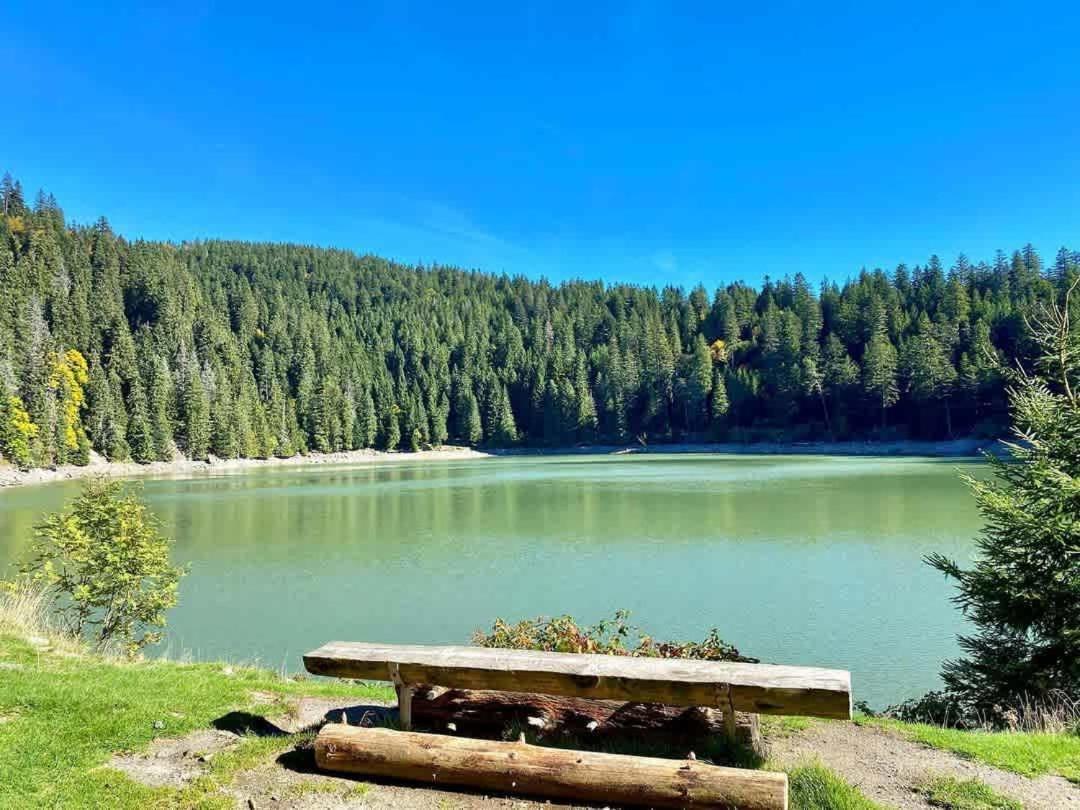 Appartamento Avec Piscine Chez Véro *